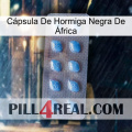 Cápsula De Hormiga Negra De África viagra3